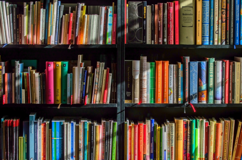 vitrine-LA LONDE LES MAURES-min_books_bookstore_book_reading_shop_writer_sale_books_read-822866